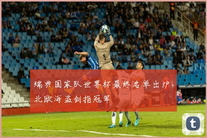 瑞典国家队世界杯最终名单出炉，北欧海盗剑指冠军