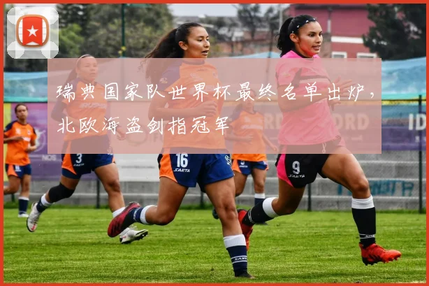 瑞典国家队世界杯最终名单出炉，北欧海盗剑指冠军